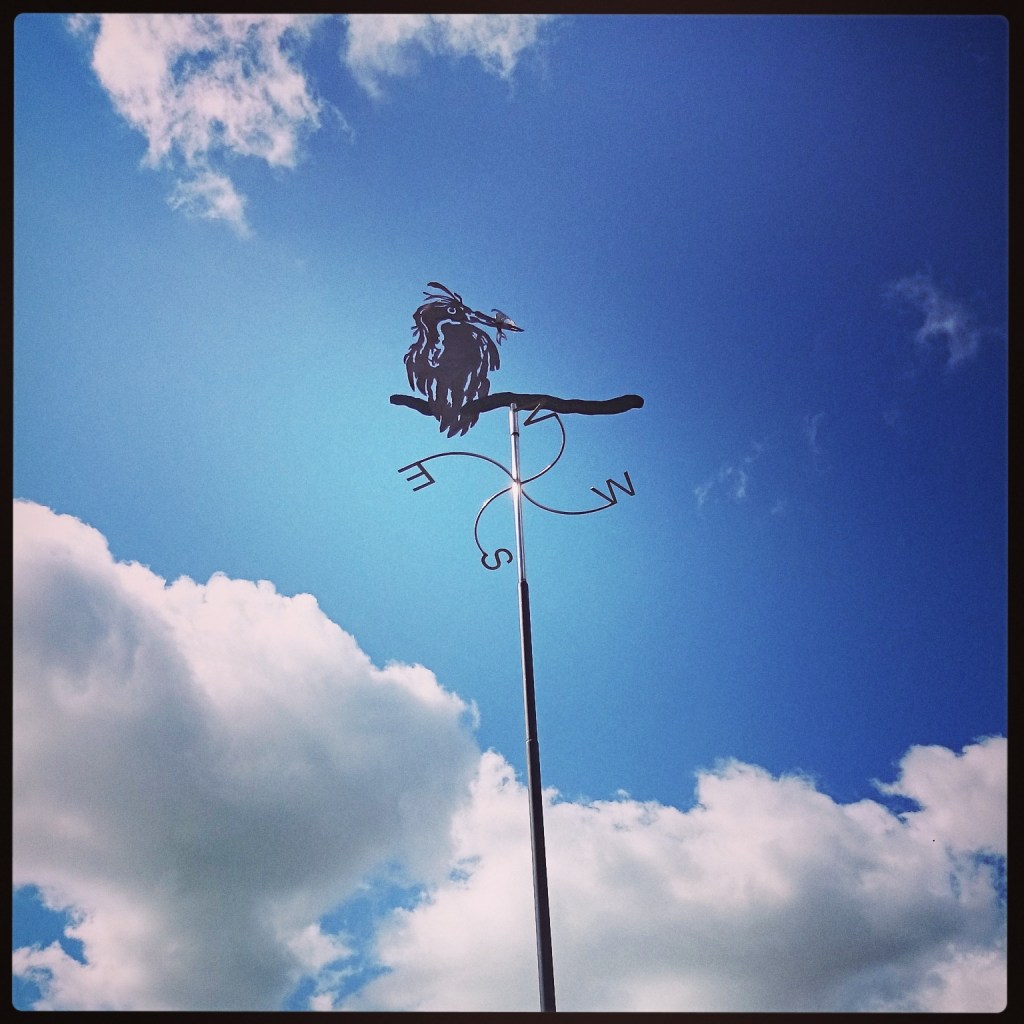 Wonder of Birds at the Norwich Castle Museum