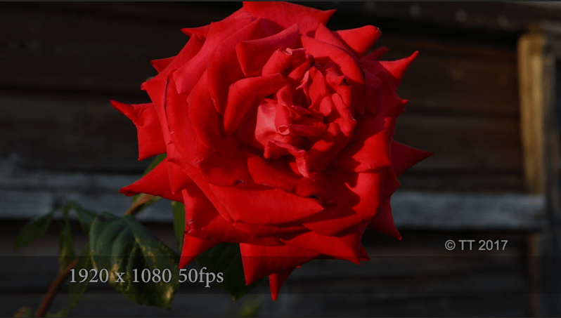 Screen Shot 2017-06-23 at 13.55.08