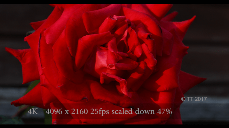 Screen Shot 2017-06-23 at 13.55.33